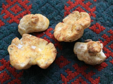 Matinée Foodart  »Mushrooms«