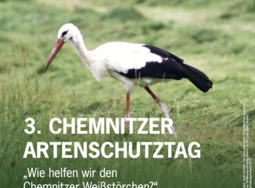 3. Chemnitzer Artenschutztag – „Wie helfen wir den Chemnitzer Weißstörchen?“