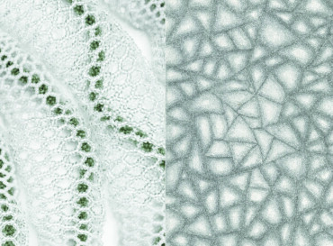 Vernissage · geflecht · Kirsten Jäschke und Frank Herrmann