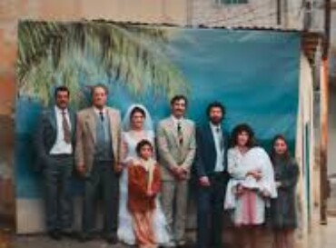 Im Schatten des Orangenbaums